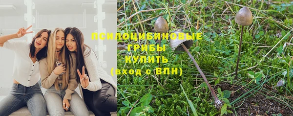 прущие крисы Гусь-Хрустальный